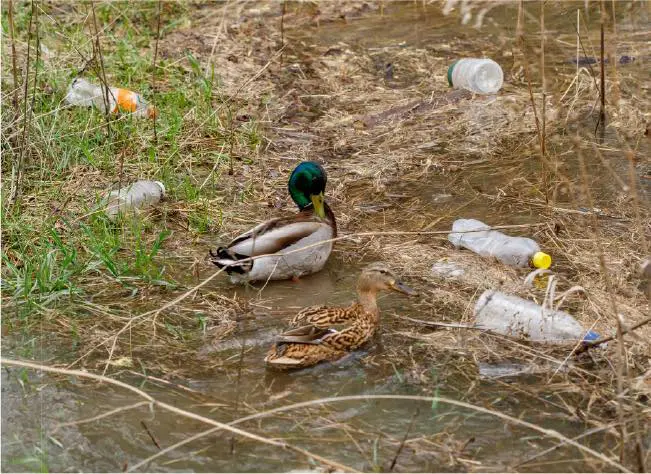 ICS geomembrane liner installation