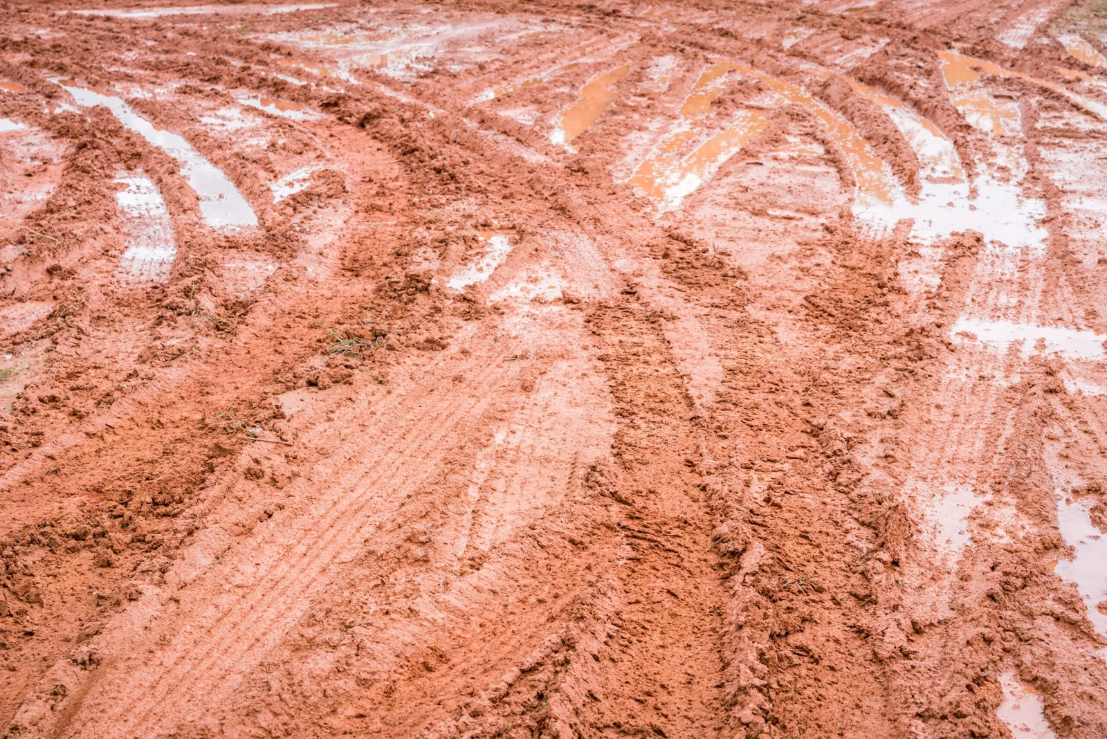 Wet clay ground with tire tracks